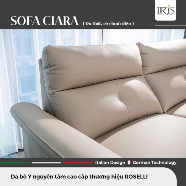 Sofa Ciara - Ảnh 8