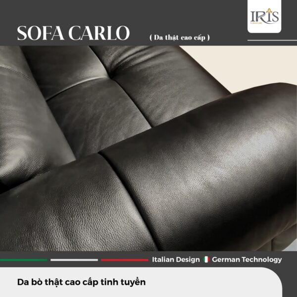 Sofa Carlo - Ảnh 5