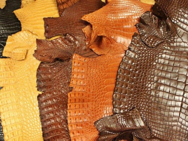 Da cá sấu thuộc được dùng trong các sản phẩm cao cấp