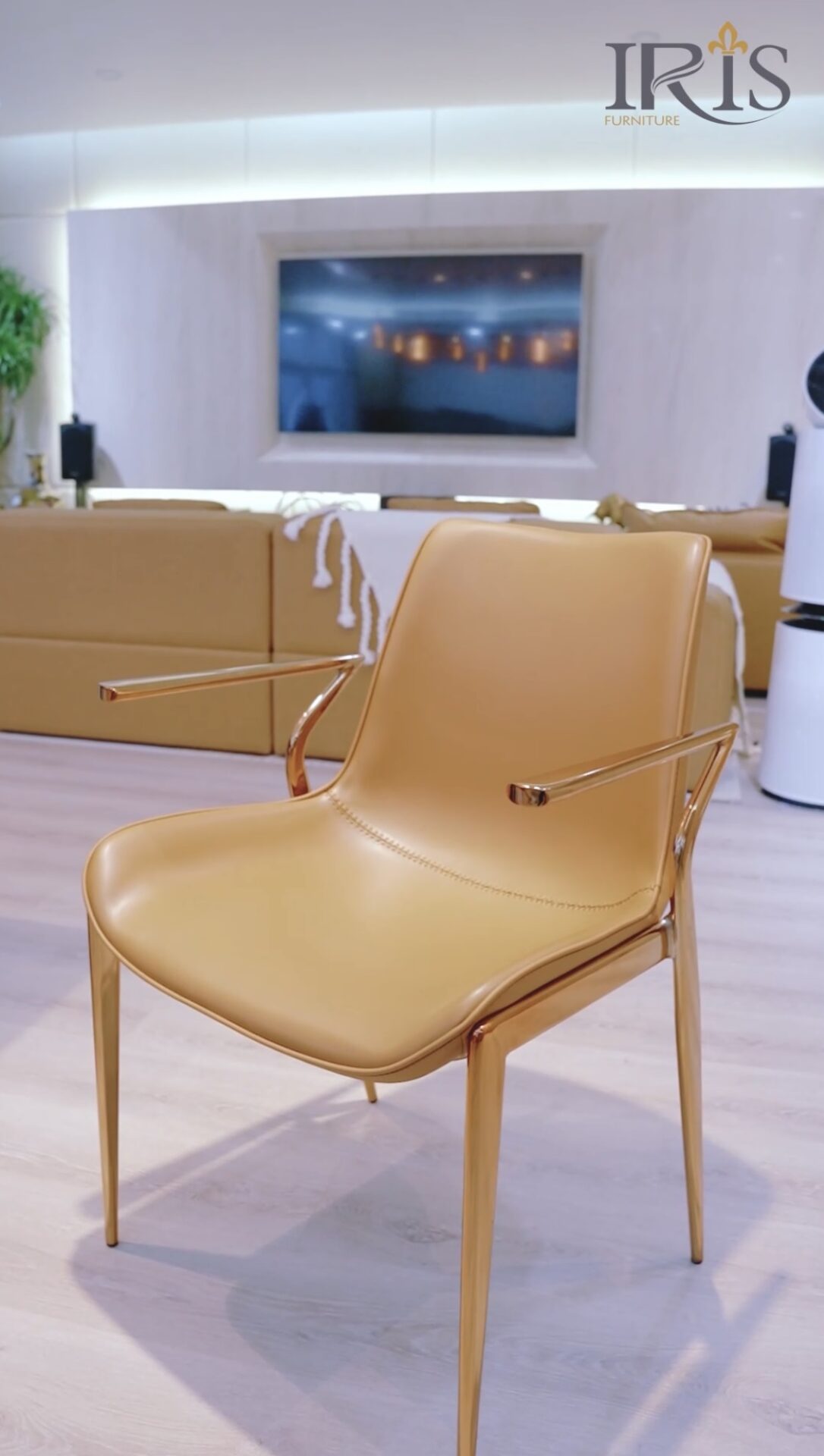 ghế ăn yokee cao cấp nhập khẩu màu vàng bò