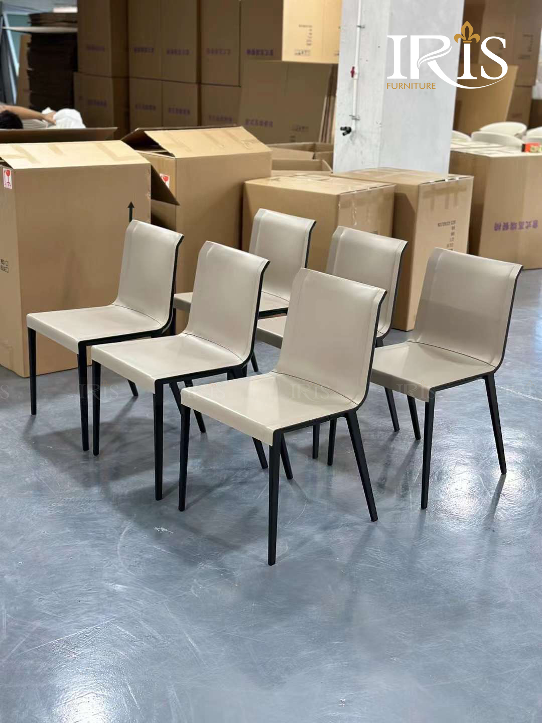 Ghế Ăn Charlotte Sản Xuất Tại Nhà Máy