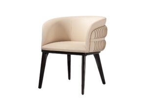 Ghế Ăn Nordic Luxury