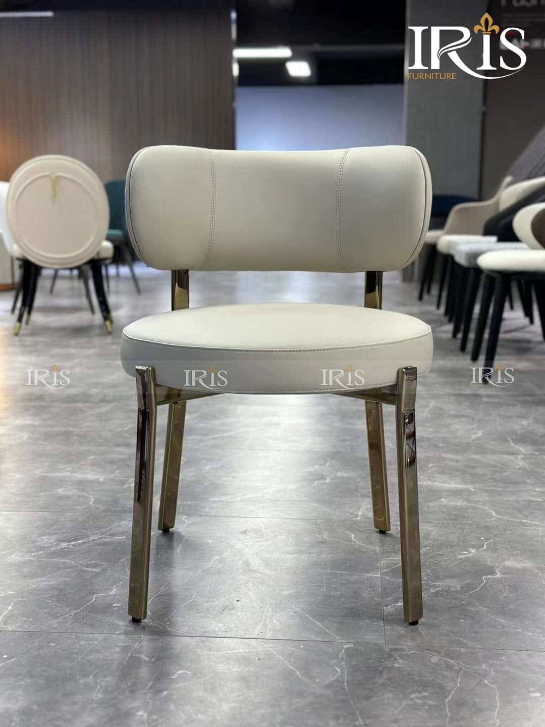 Ghế Ăn Turri Roma Decor Sang Trọng