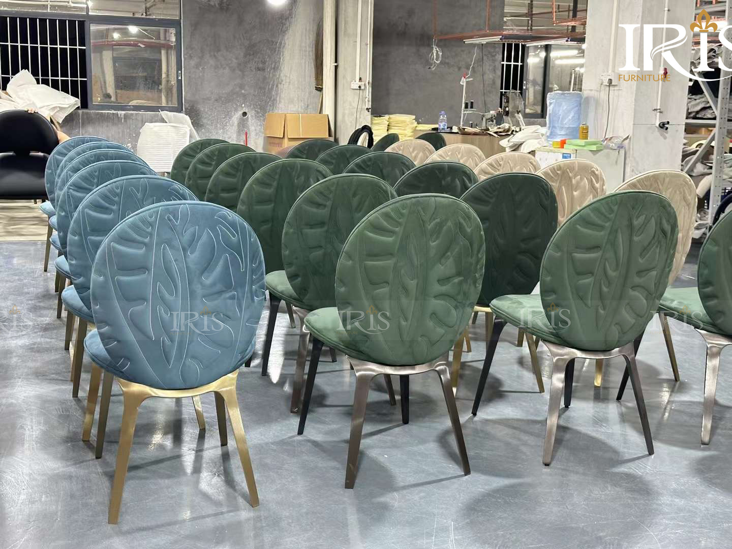 Ghế Ăn Visionnaire Astrid Sản Xuất Tại Nhà Máy