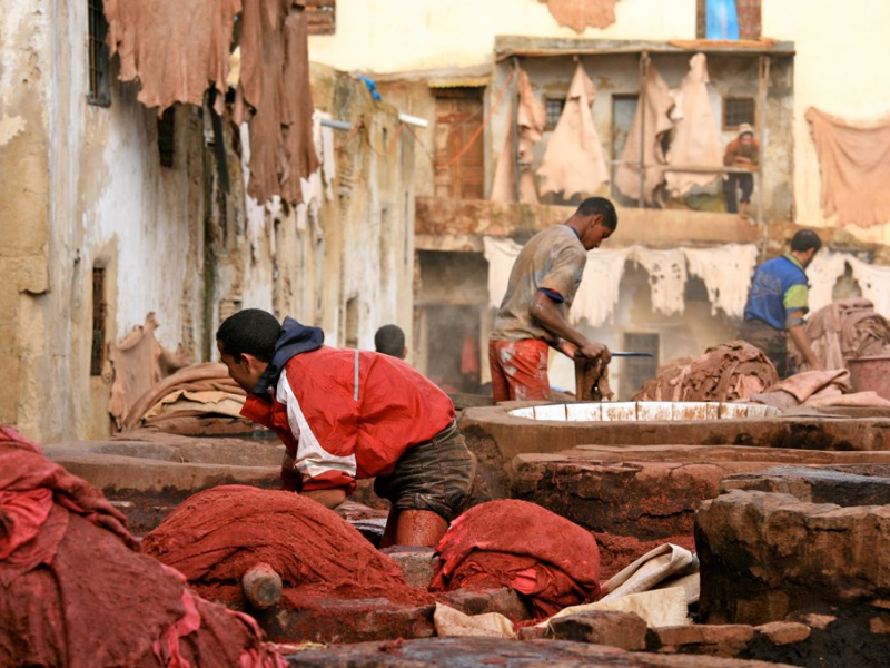 Quy trình nhuộm màu và xử lý hoàn thiện bề mặt da