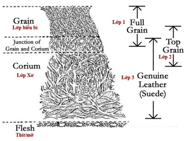 Da Genuine Leather được làm từ chất liệu da bò nhập khẩu