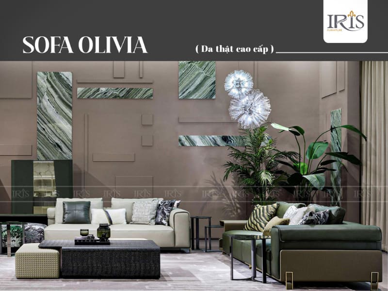 Sofa Olivia Casa xanh rêu cao cấp cho biệt thự