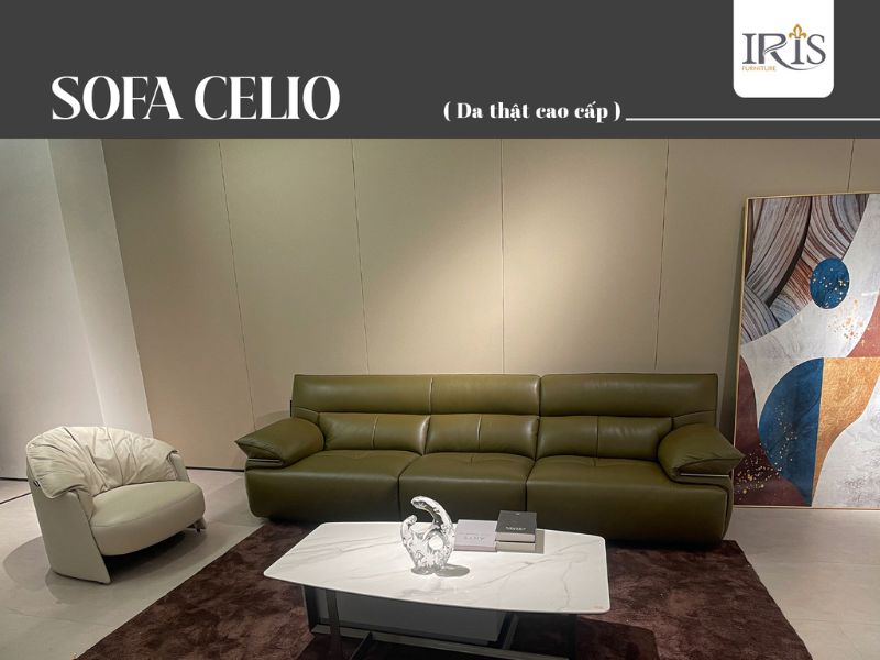 Nên chọn sofa hiện đại có màu sắc trung tính